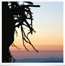 Crater Lake - Sunset